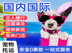 南昌昌北航空运输国际宠物托运 【国